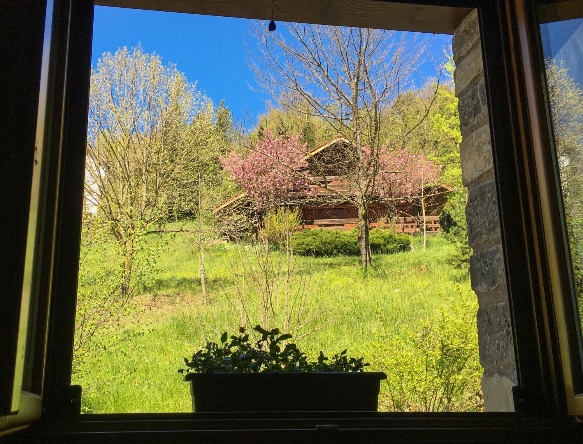Ikuilu Ochagavia-Selva De Irati Apartment Bagian luar foto